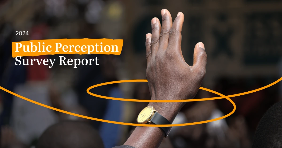 Public Perception Survey Report 2024